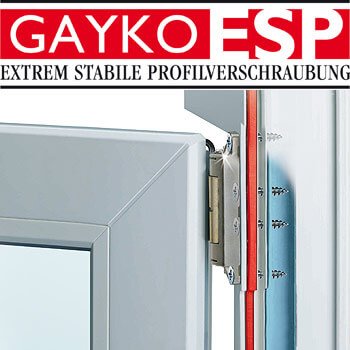 GAYKO ESP System